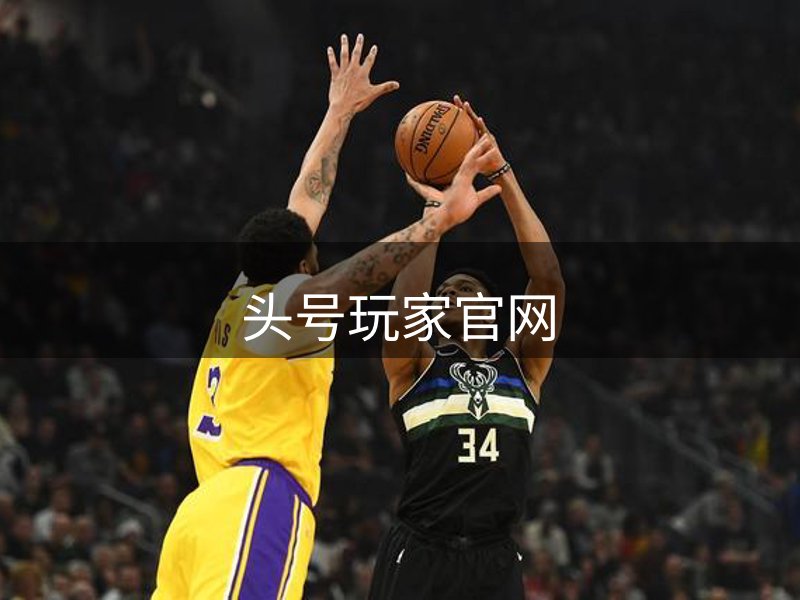 网站介绍